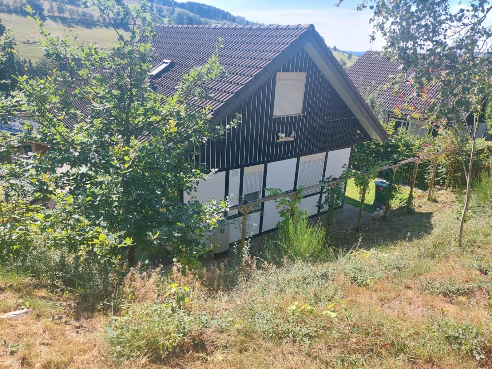 Das Waldhaus Bad Berleburg Kültér fotó